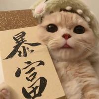 小張同学713头像