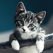 尘世的个人资料头像