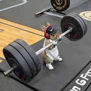 DD53的个人资料头像