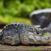 johnfu的个人资料头像