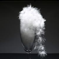 羽绒睡袋刘帅头像