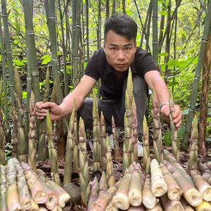 农人找小陈头像
