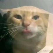 伟大征途的个人资料头像