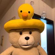 铁拳先生的个人资料头像
