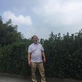 用户鹏哥头像