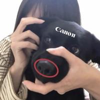 提倡步行百公里一碗饭头像