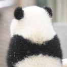 JIEE_Shine的个人资料头像