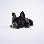 zenith的个人资料头像