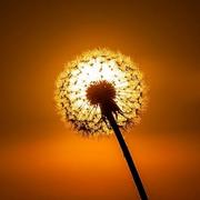 小然同学的个人资料头像