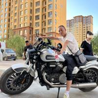 非凡麻酱K9头像