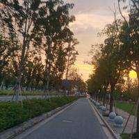 山路小皇子头像