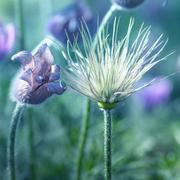 杨鑫朝的个人资料头像