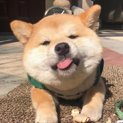 明天见See的个人资料头像