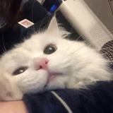 用户8223610044567头像