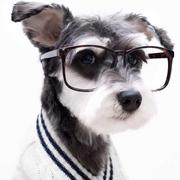 address的个人资料头像