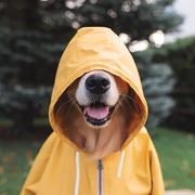 Li828的个人资料头像