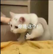 心安姐姐的个人资料头像