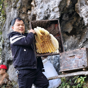 农村管蜂人头像