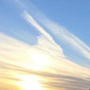 雪落下的声音948的个人资料头像