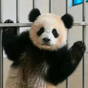 滚滚娱乐头像