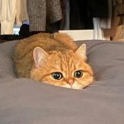 二三782的个人资料头像