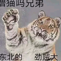 空空如也头像