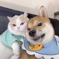 你那么美头像