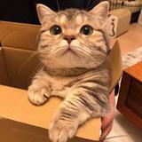 眰恦570头像