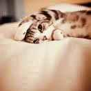 熟透烂橘子的个人资料头像