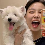 二狗L头像