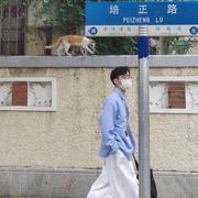 coderEkko的个人资料头像