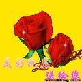踏雪寻梅192169726头像
