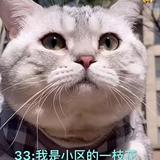爷爷头像