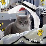 小郡肝的日常头像
