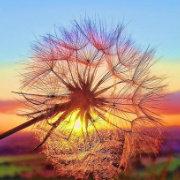 we3ew的个人资料头像