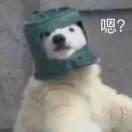 _Spark_的个人资料头像