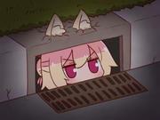 珂教兴国的个人资料头像