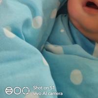 黄河大合唱85646头像