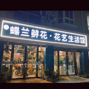 蝶兰鲜花店头像