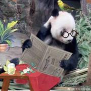 如何一叶知秋的个人资料头像