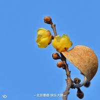 蓝色大海361头像