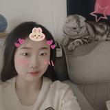 每天都很困471头像