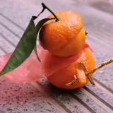狂人不谓侠HY头像