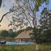 Asy的个人资料头像