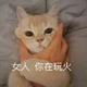 大数据ol头像