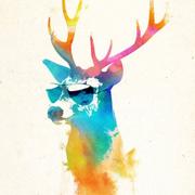 528的个人资料头像