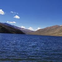 LY高速公鹿头像