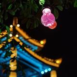 我爱蛮蛮7头像