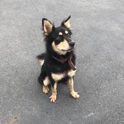 pipiBRH的个人资料头像