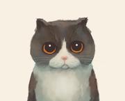 奶糖猫的个人资料头像